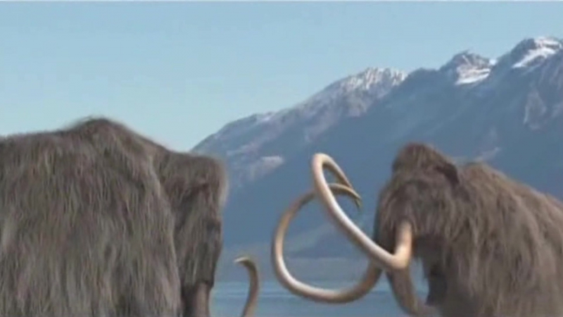 Мамонты: Титаны Ледникового периода / Mammoth: Titan of the Ice Age (2010)