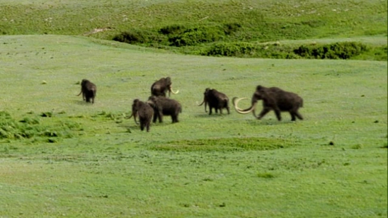 BBC: Прогулки с чудовищами / Walking with Beasts (2001)