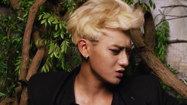 Z.TAO