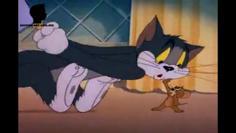 Том и Джерри / Tom and Jerry