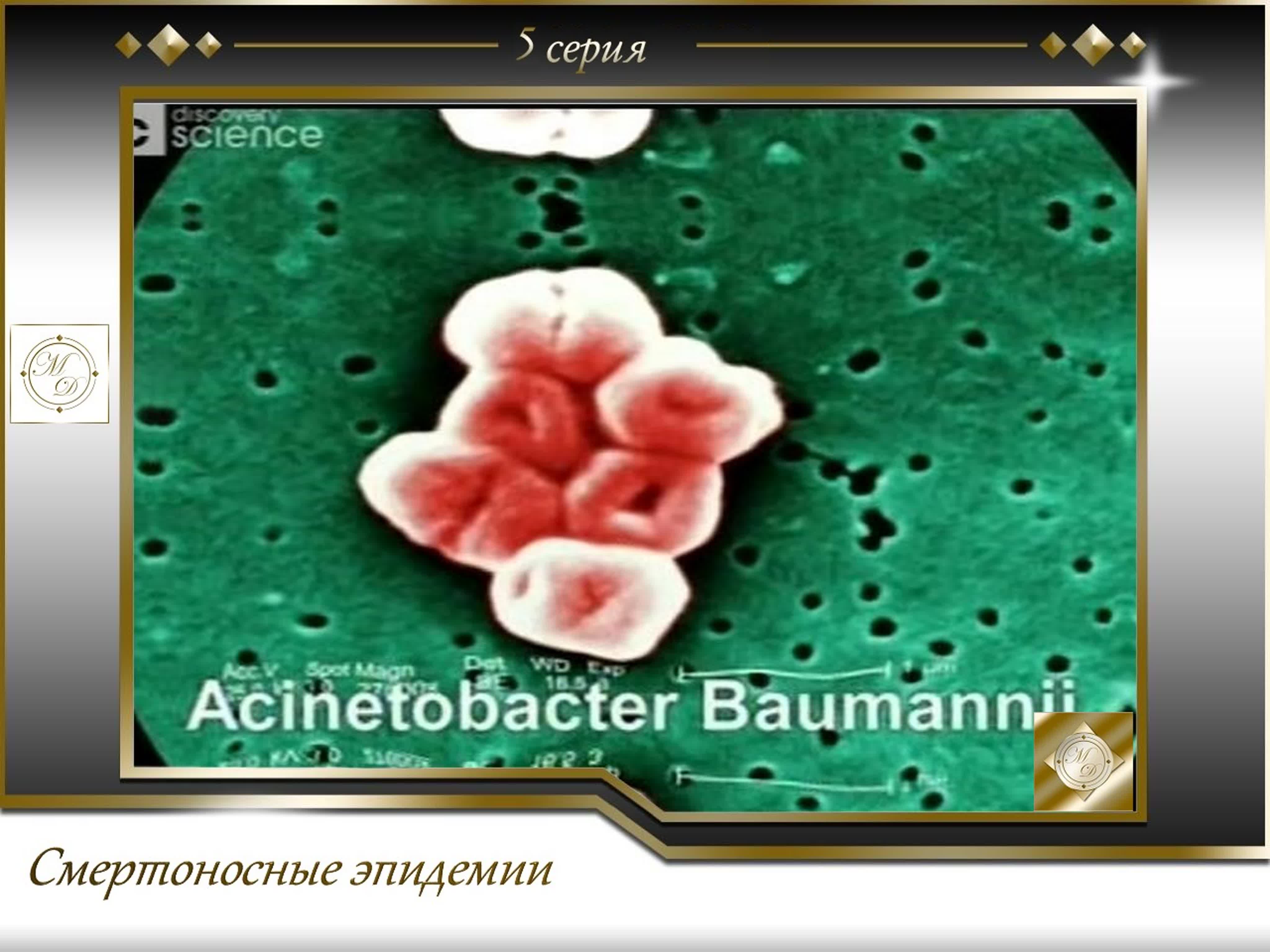 Killer outbreaks / Смертоносные эпидемии (Discovery science 2012)