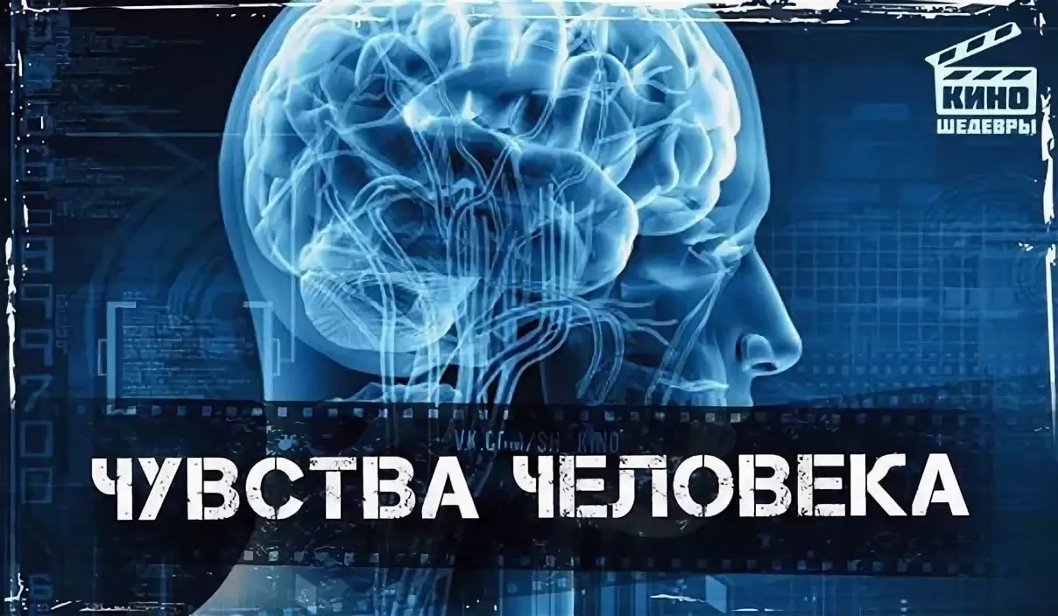 BBC: Чувства человека