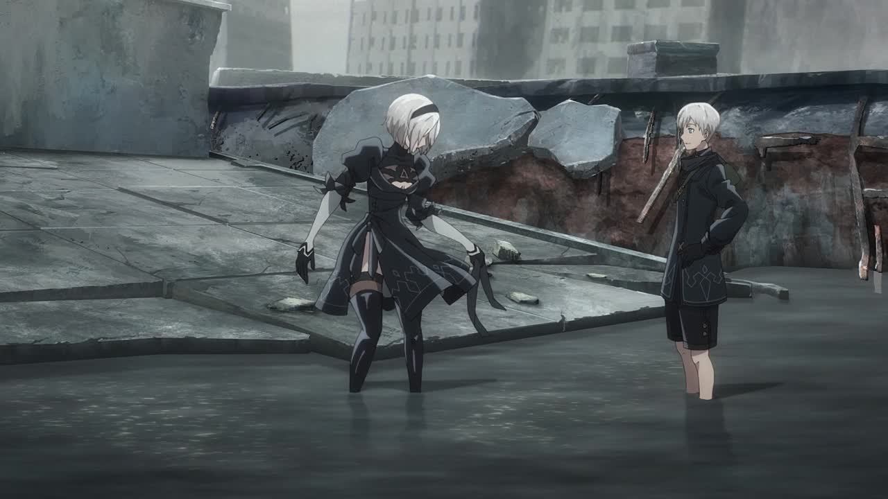 NieRAutomata.Ver1.1a