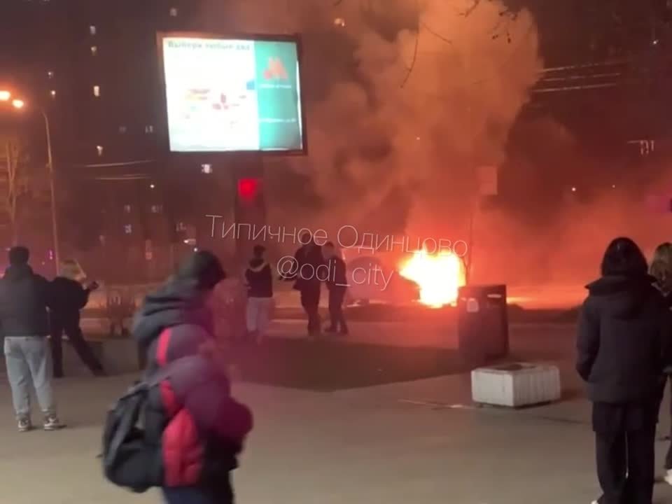 Кандидаты на премию Дарвина