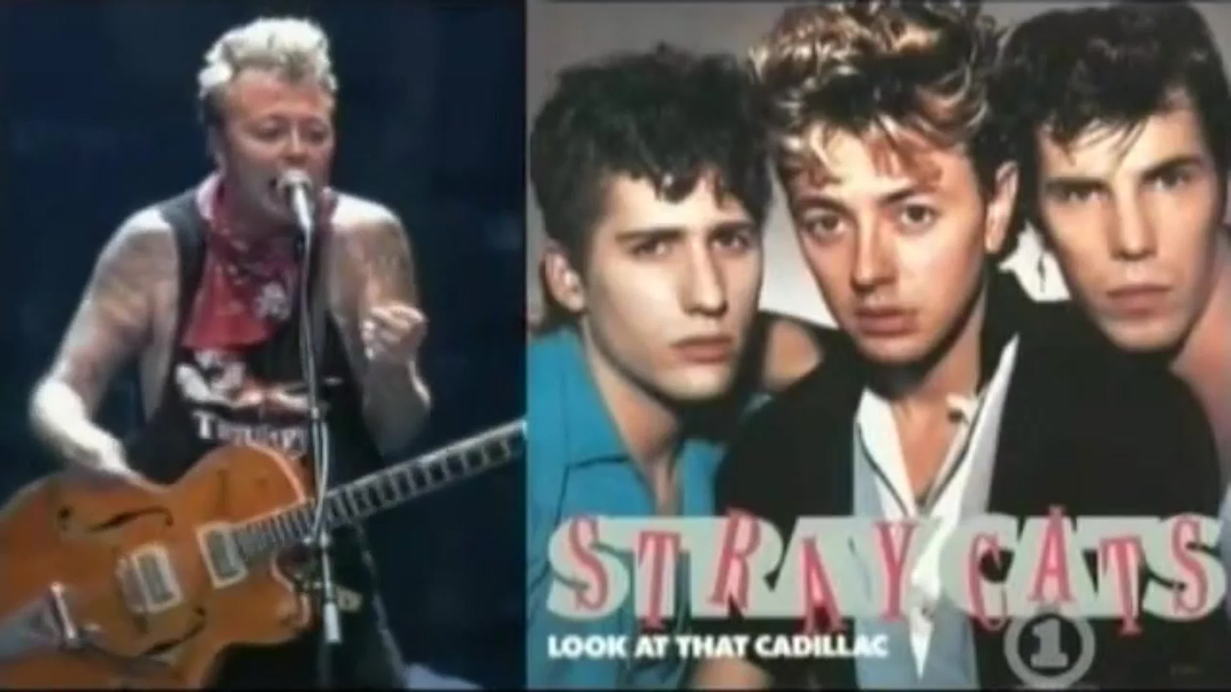 Stray Cats