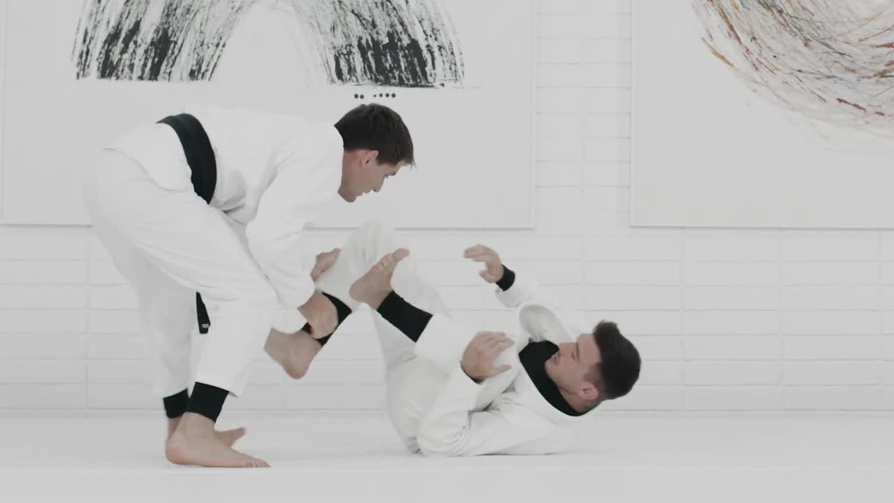 ART OF JIUJITSU (Mendes Bros Academy)