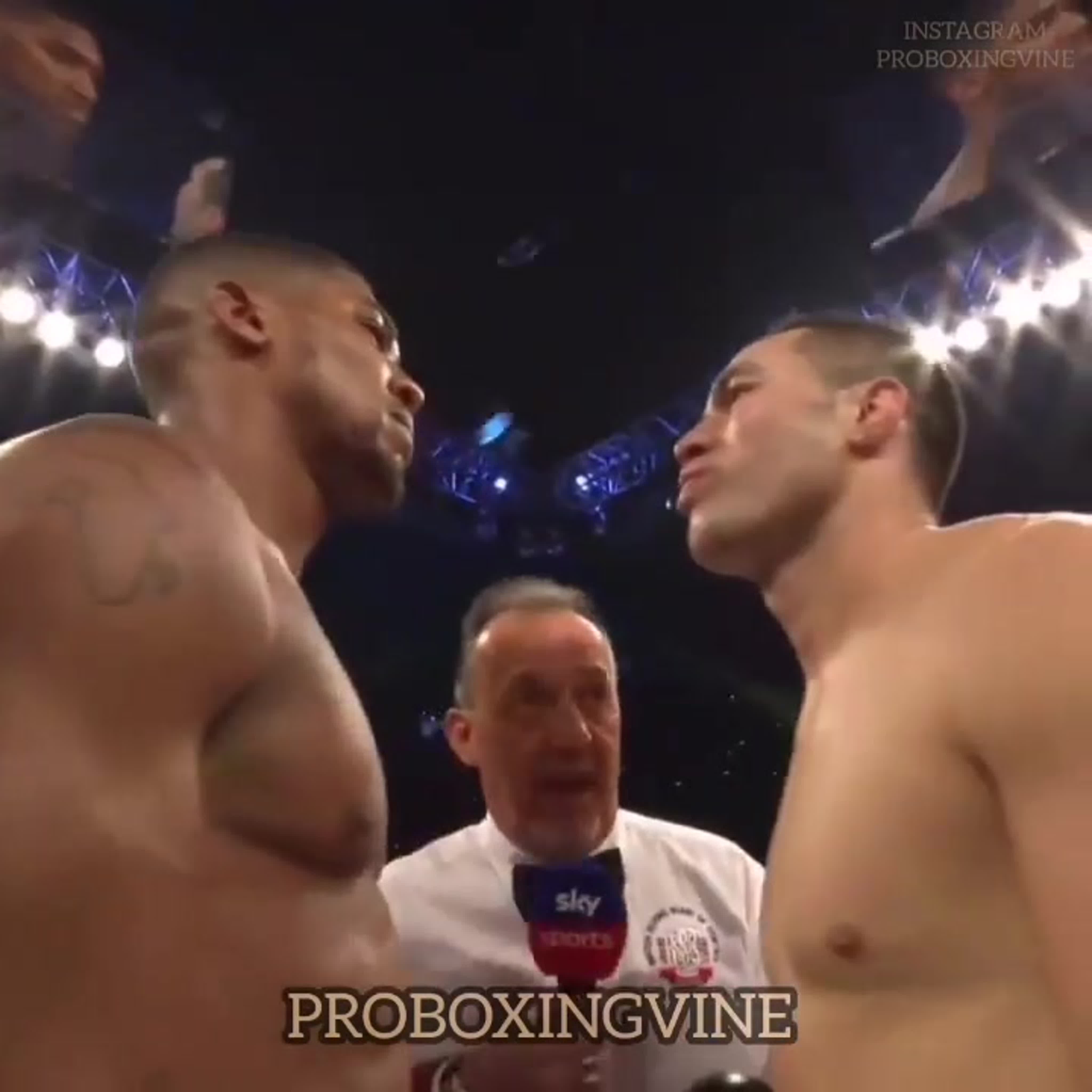 Proboxingvine