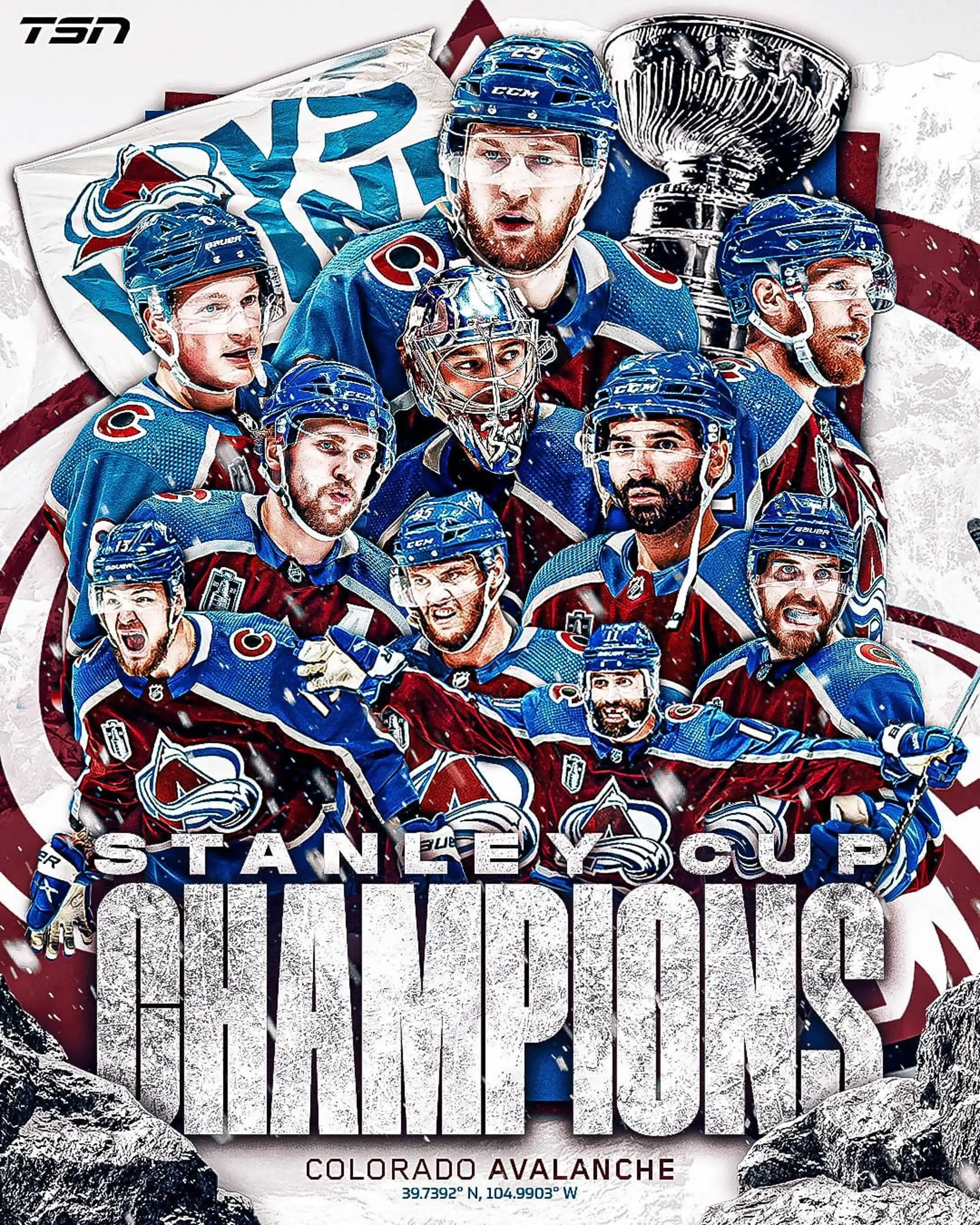 Stanley Cup Champions DVD