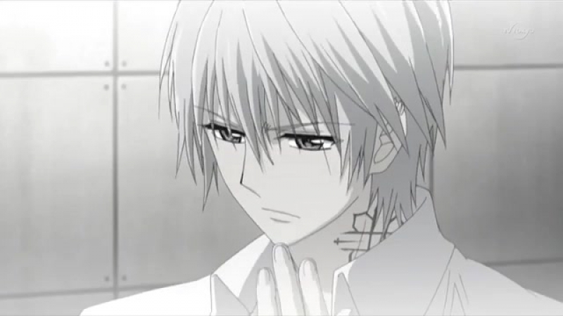 Vampire knight / Рыцарь-вампир