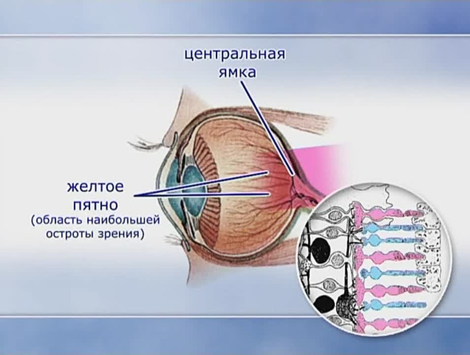 Обучающие фильмы