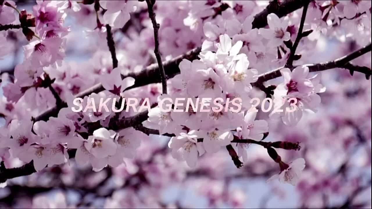 NJPW Sakura Genesis 2023