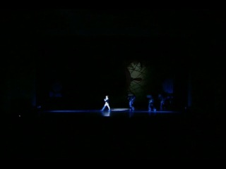 Лебединое озеро / Swan Lake (П. И. Чайковский, Жао Минг, 2006 г.)