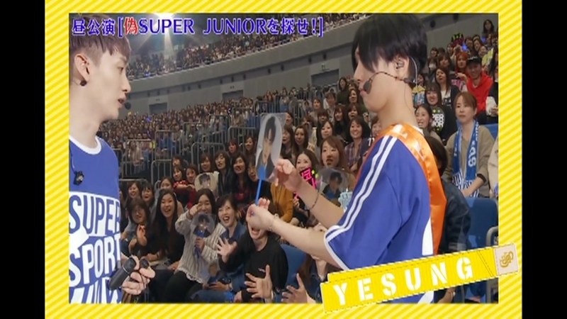 [DVD] ~Super Sports Day~ E.L.F JAPAN FESTIVAL 2017