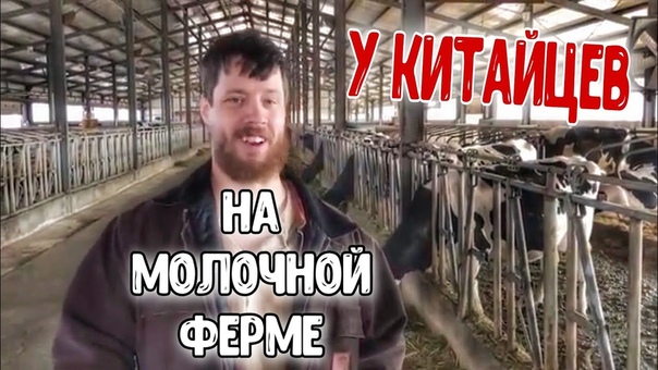 ДЖАСТАС УОЛКЕР