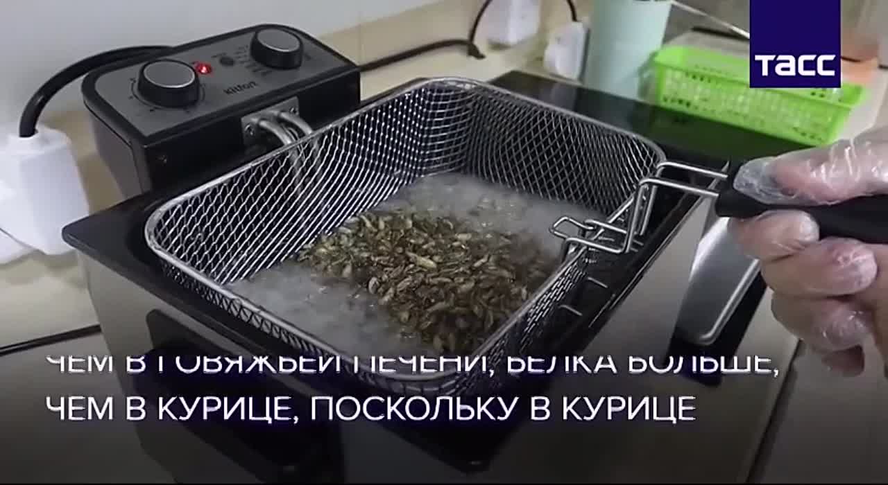 НАСЕКОМОЕДЕНИЕ