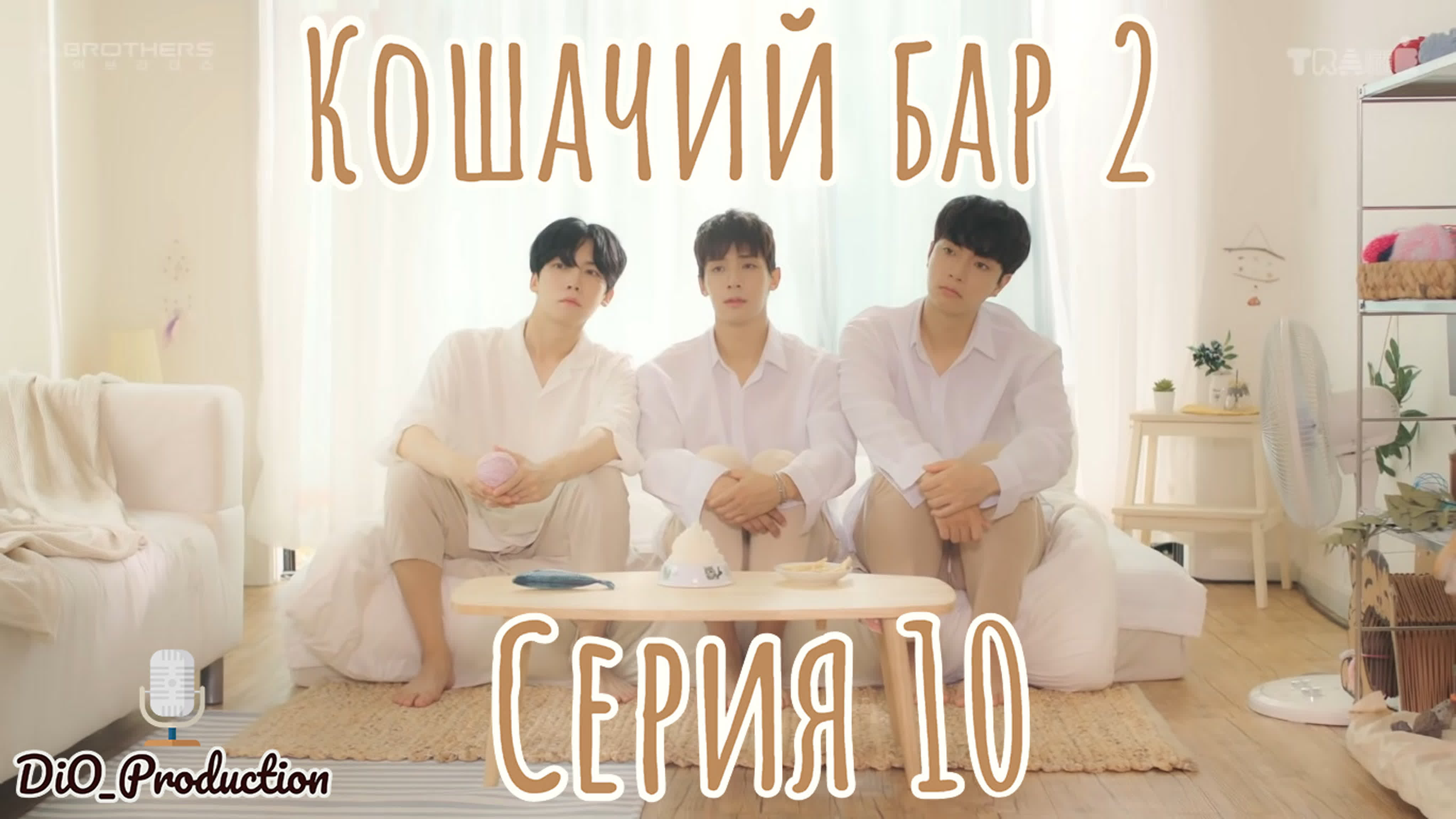 (10 из 10) Кошачий бар 2