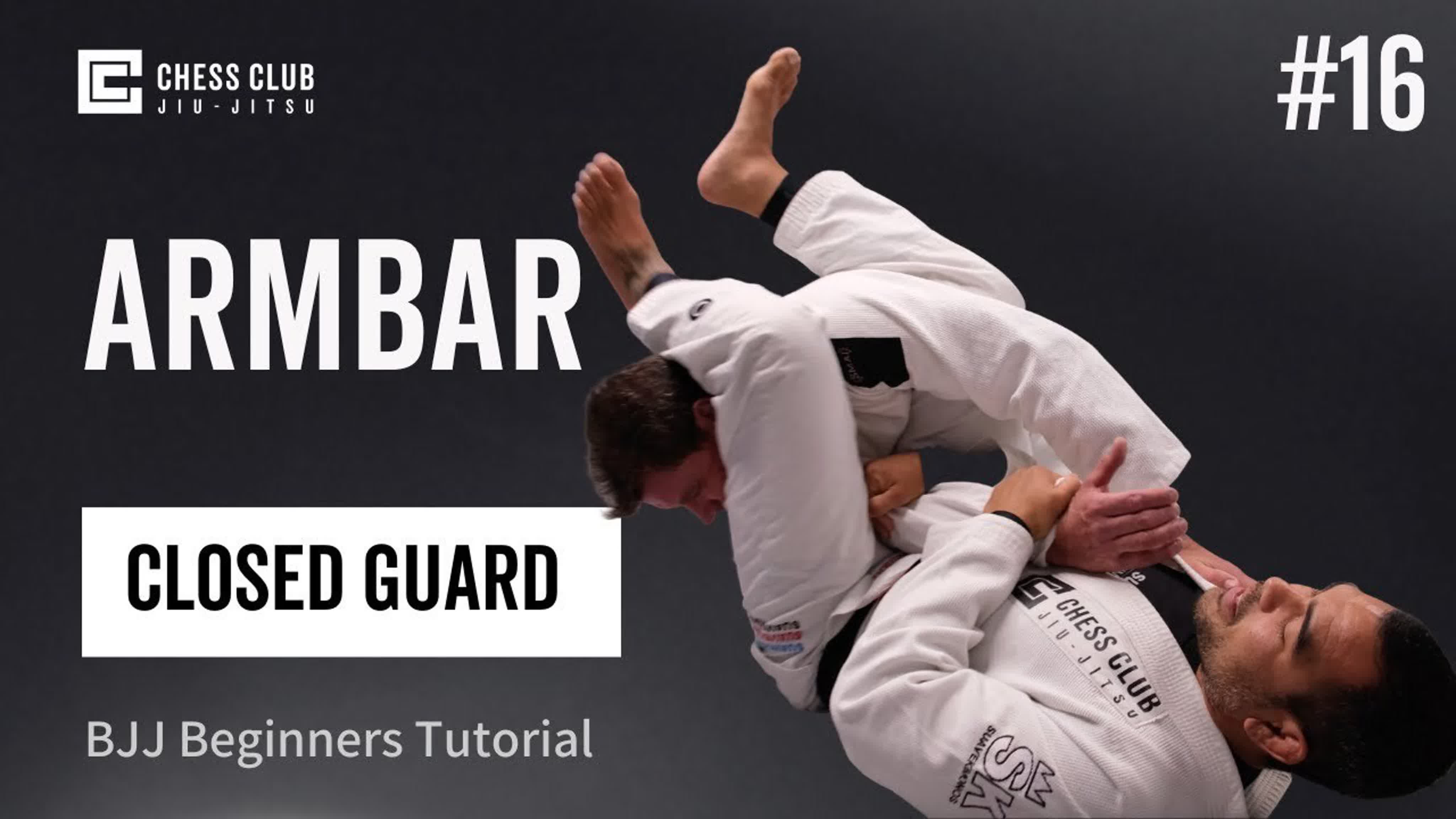 Jiu-Jitsu Beginners Course Curriculum