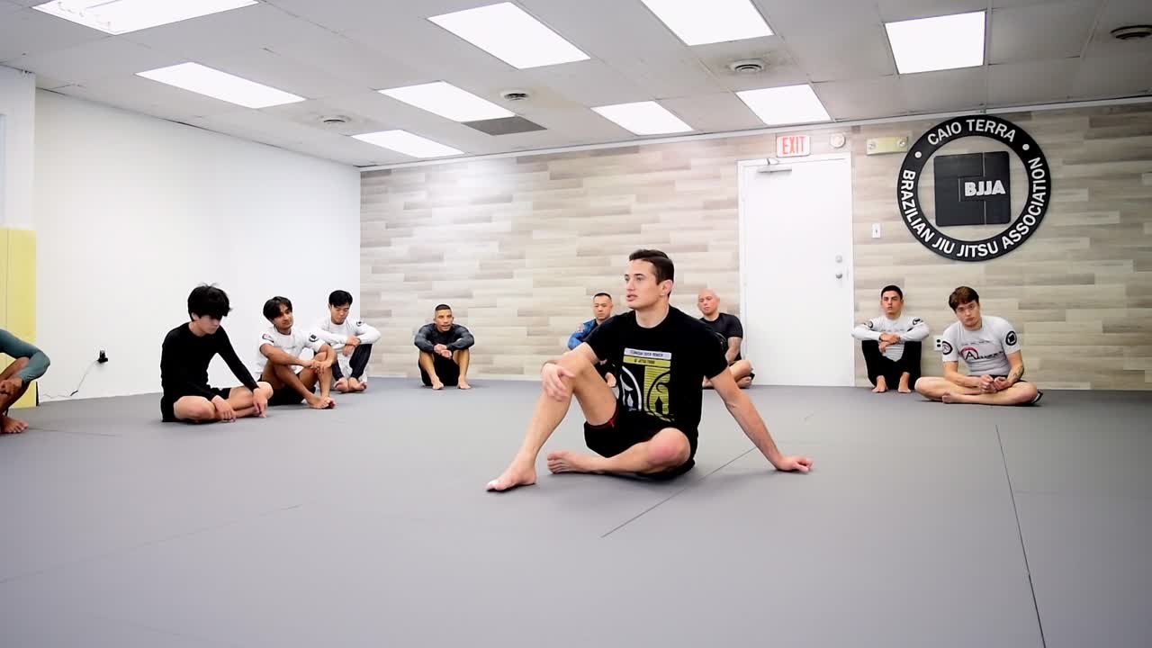 Caio Terra - THE ART OF FRAMING TO PASS SOMEONE’S GUARD