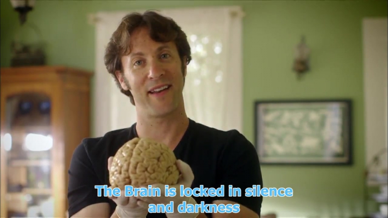 The Brain with Dr. David Eagleman