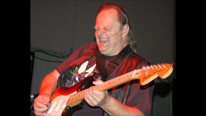 Walter Trout