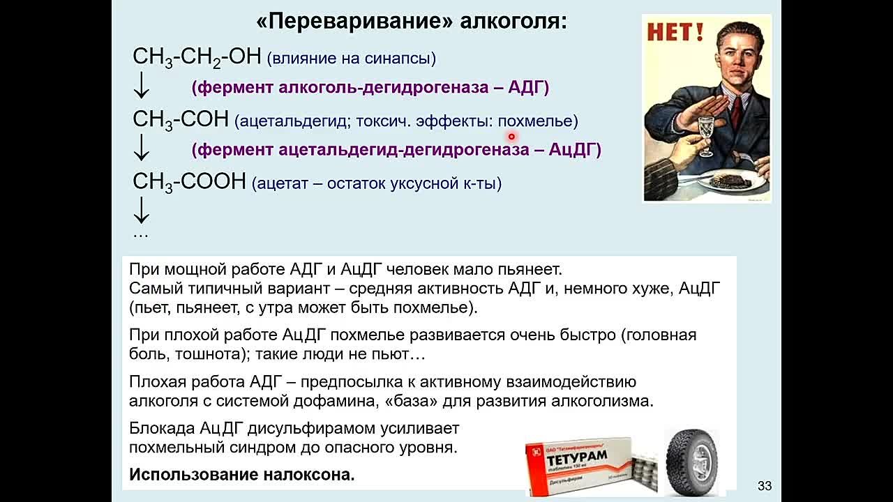 Химия мозга. Вячеслав Дубынин