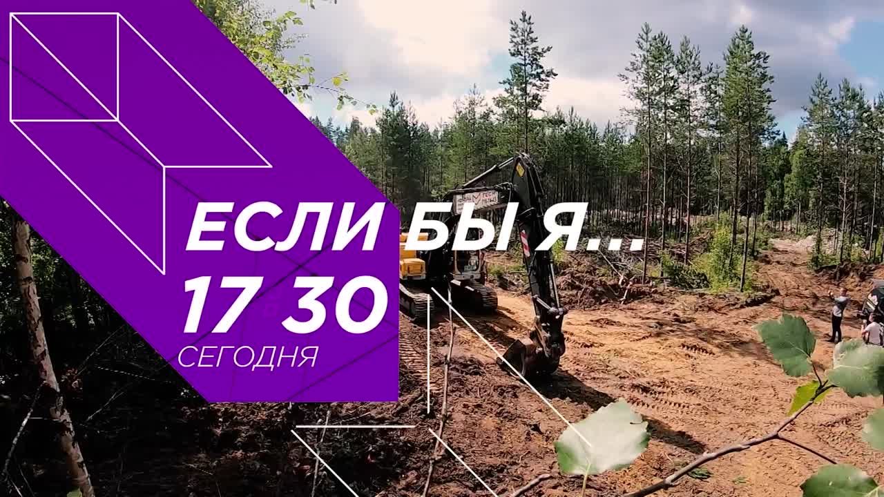 Если бы я...