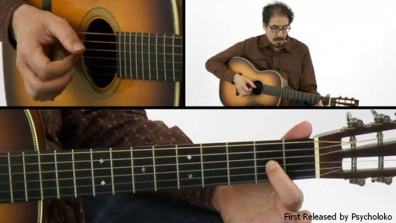 David Hamburger's Essentials - Fingerstyle Blues