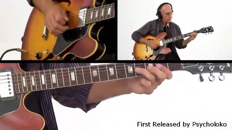 Larry Carlton's 335 Hits