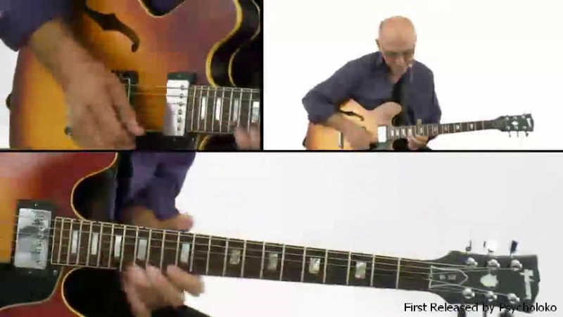 Larry Carlton's 335 Motifs