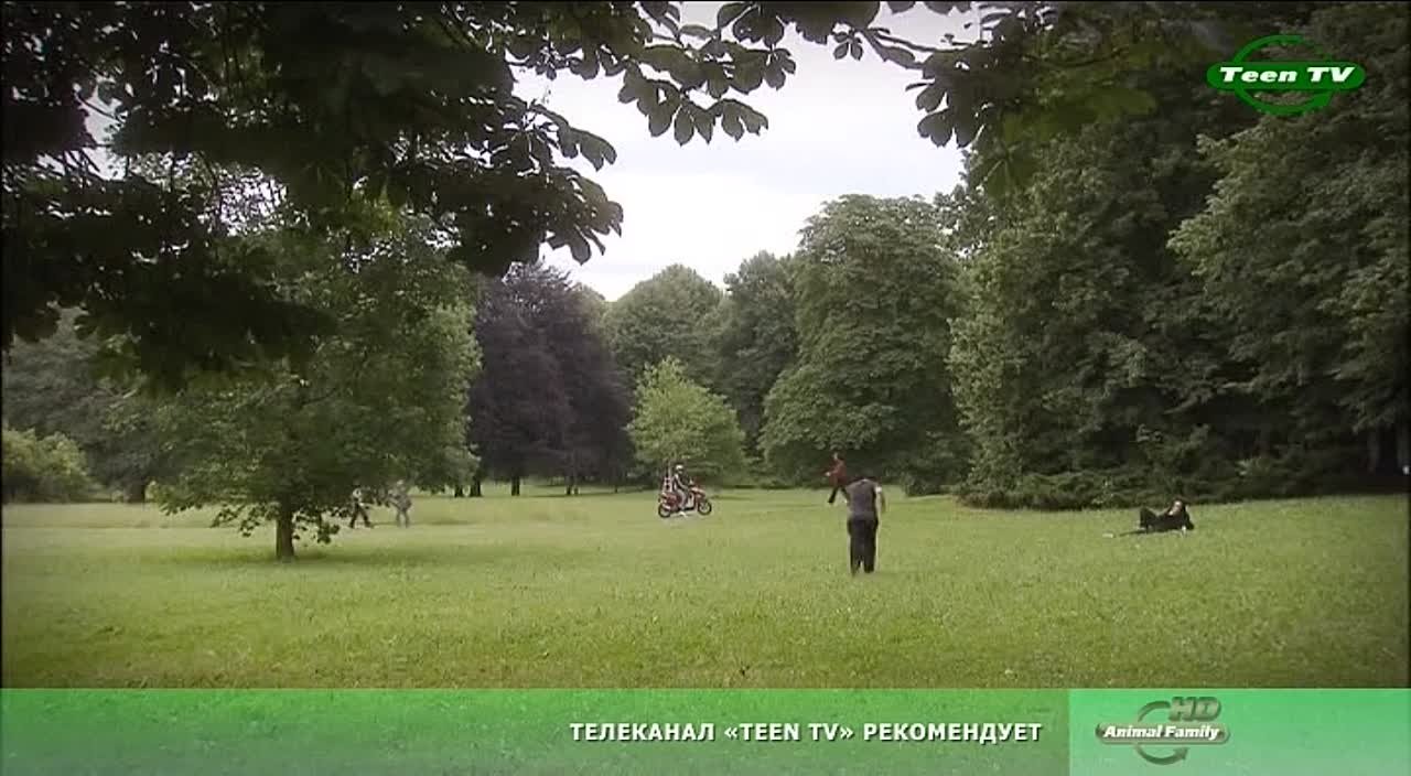 Тинейджеры (Teen tv)