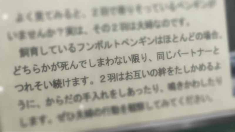 Жизнь - любовное кино, но какое-то не то! ТВ-2 / OreGairu TV-2