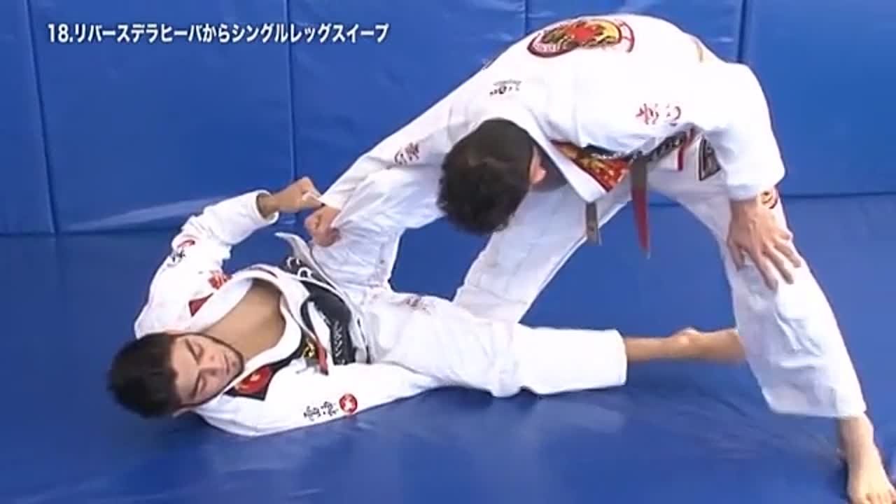 Hybrid Jiu Jitsu