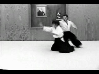 Richard Crane, Aikido in Training