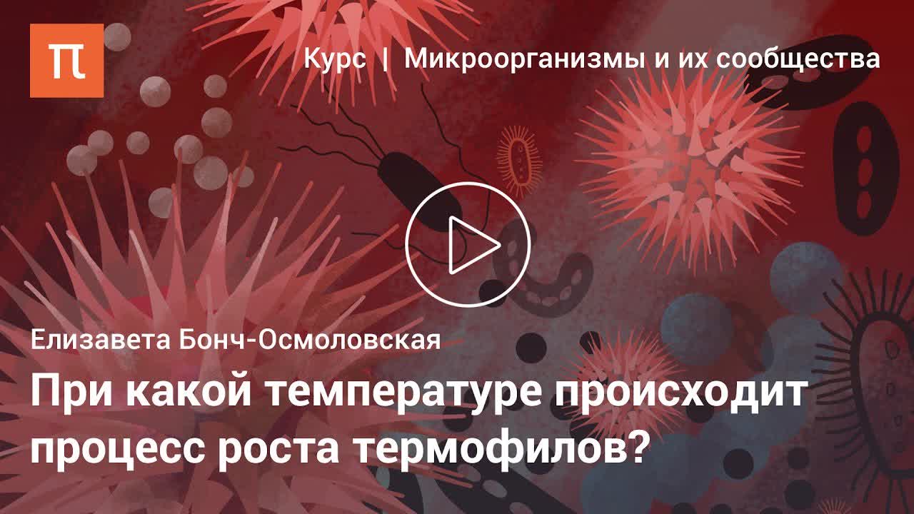 Микроорганизмы и их сообщества