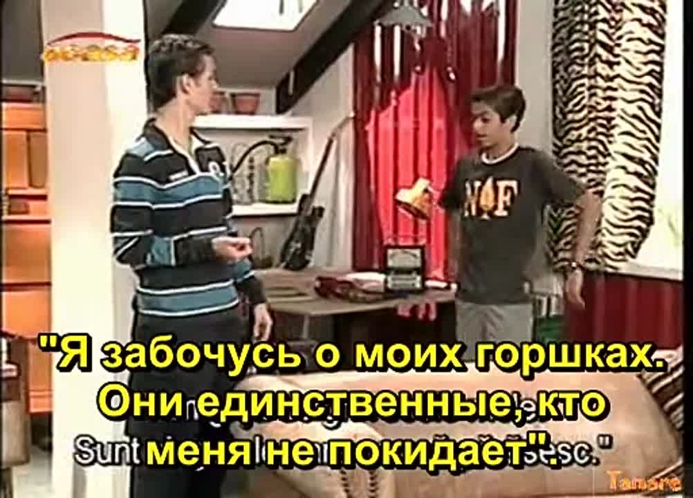 Любовь из-под палки