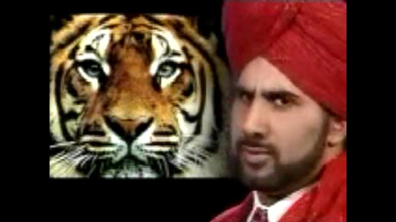 Tiger Ali Singh