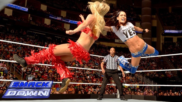 The Bella Twins.(The Bellas)