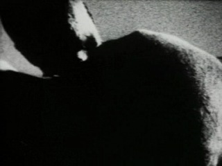 Begotten