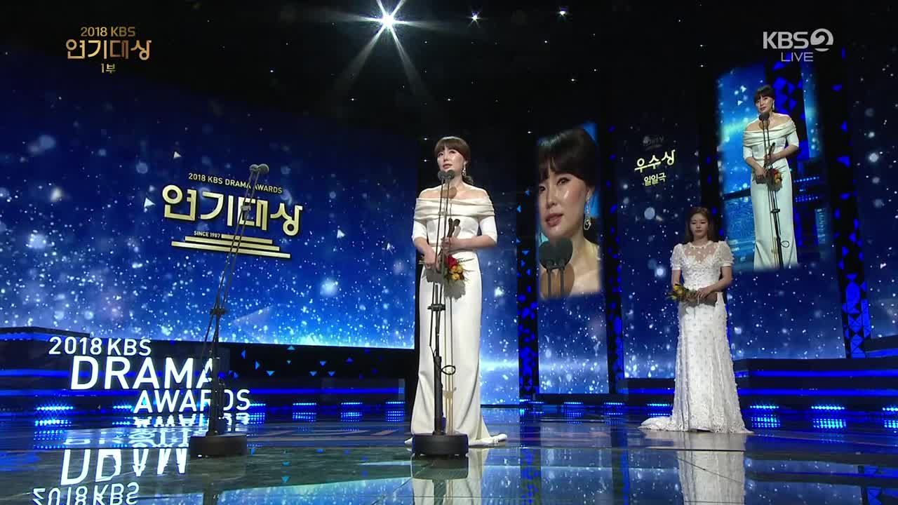 2018 Entertainment & Drama Awards