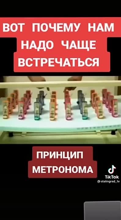 Образование