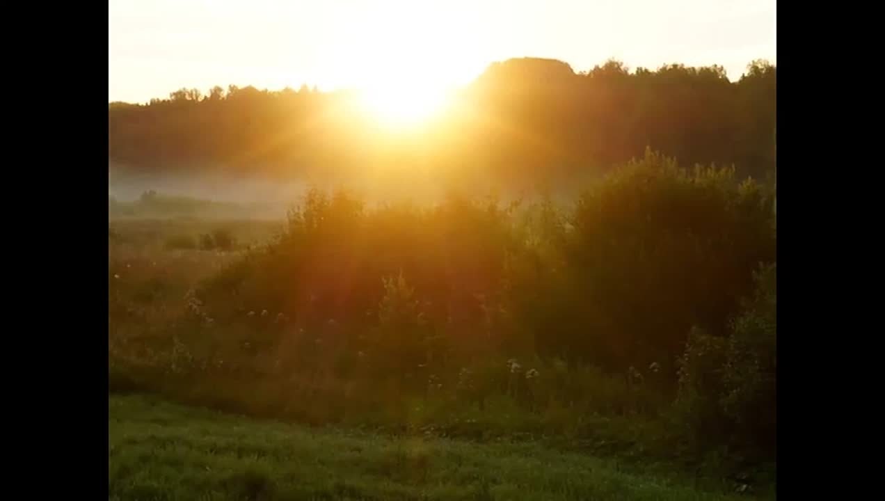 ЦЫГАНСКИЕ ПЕСНИ, ТАНЦЫ И РОМАНСЫ