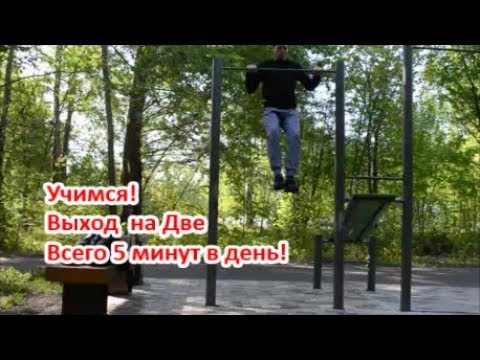 Видео подписчиков 2019