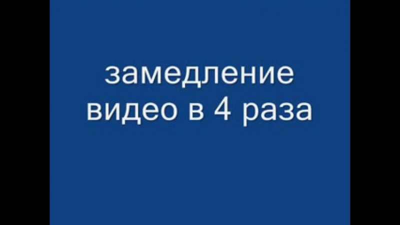 Avega - Разное - Интересное