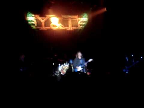 Y&T