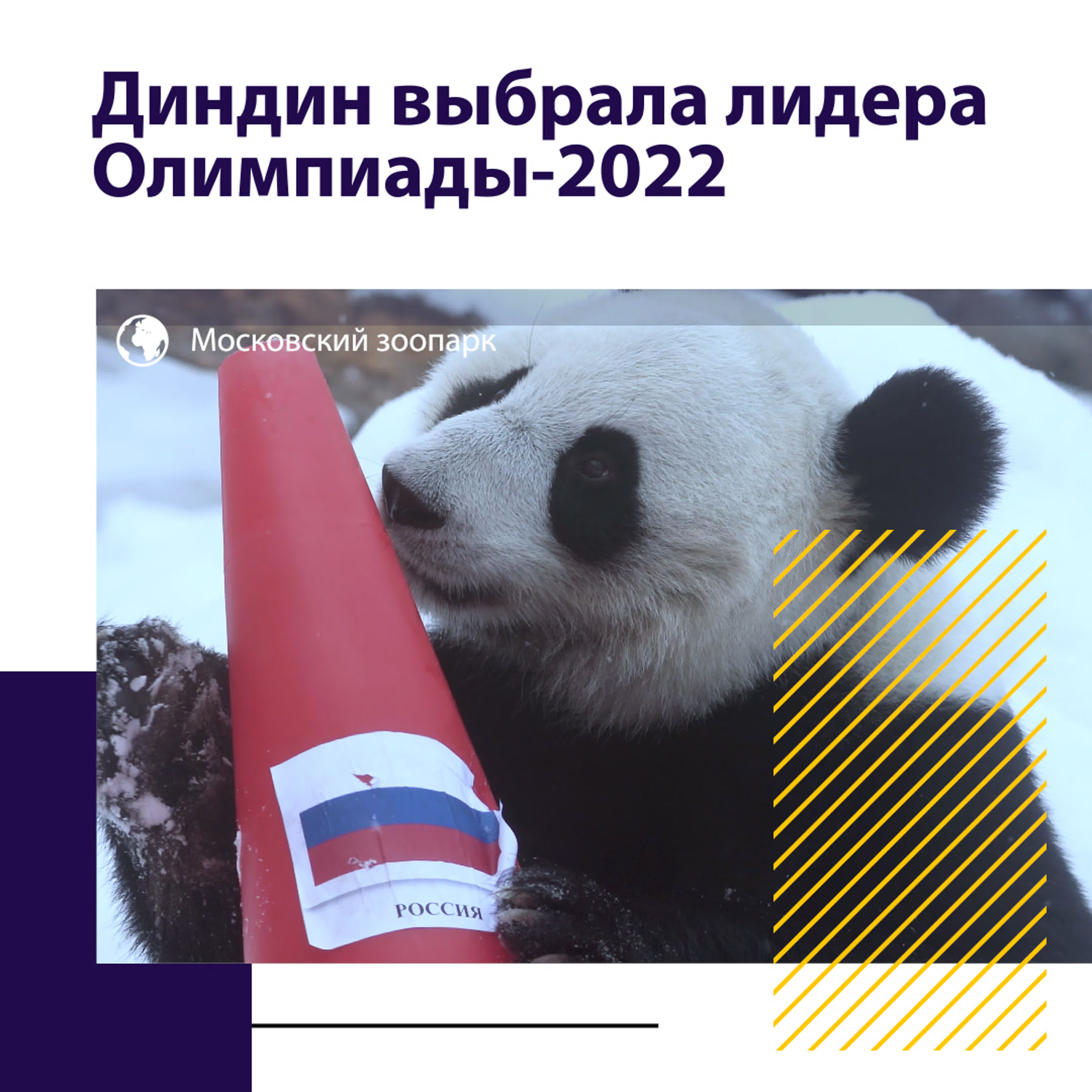 #ПЕКИН2022