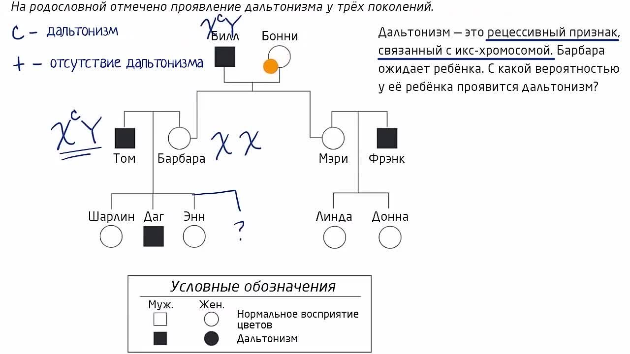 Классическая генетика | Биология ( KhanAcademyRussian)