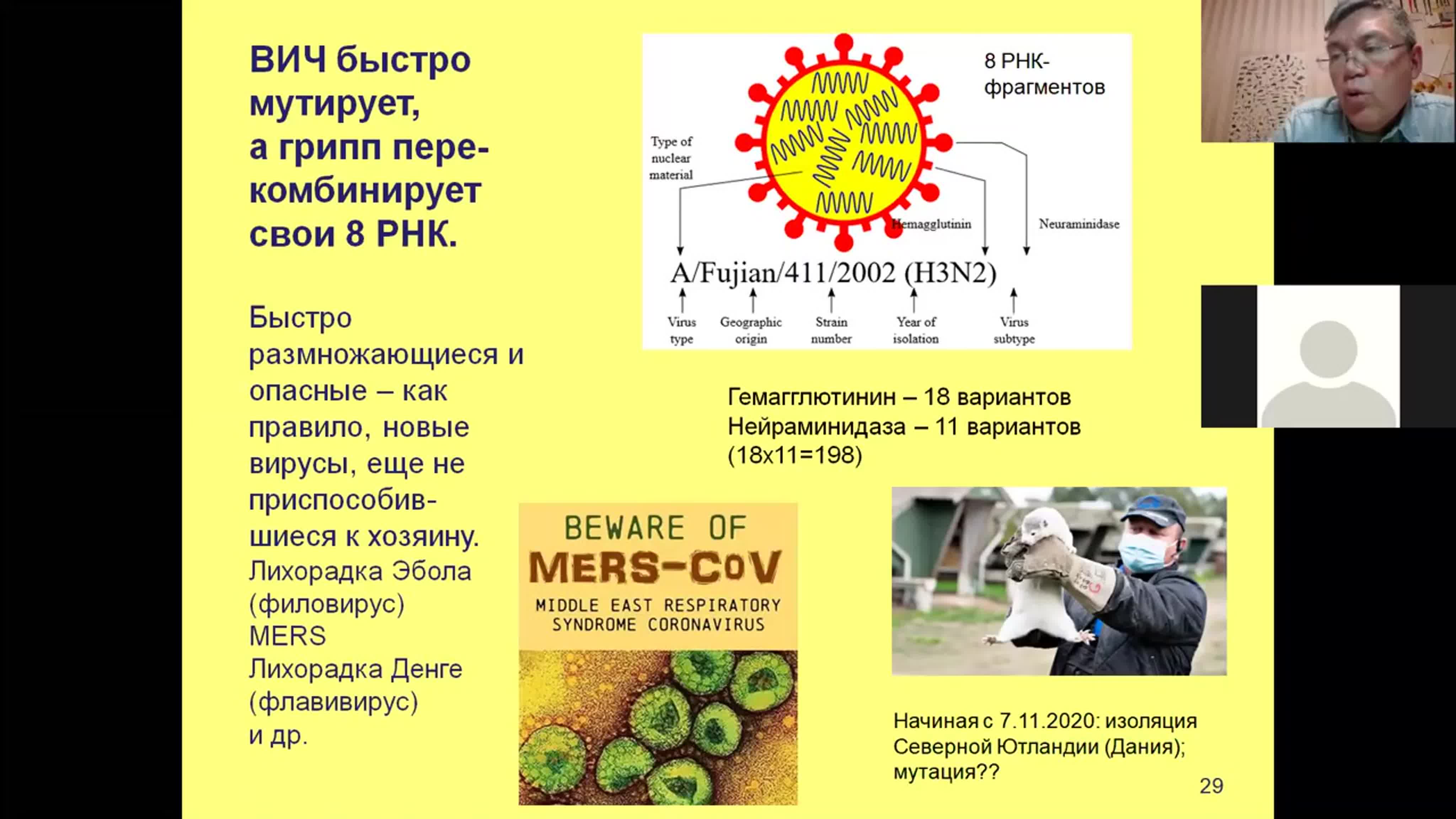 Иммунитет. Лекции Вячеслава Дубынина