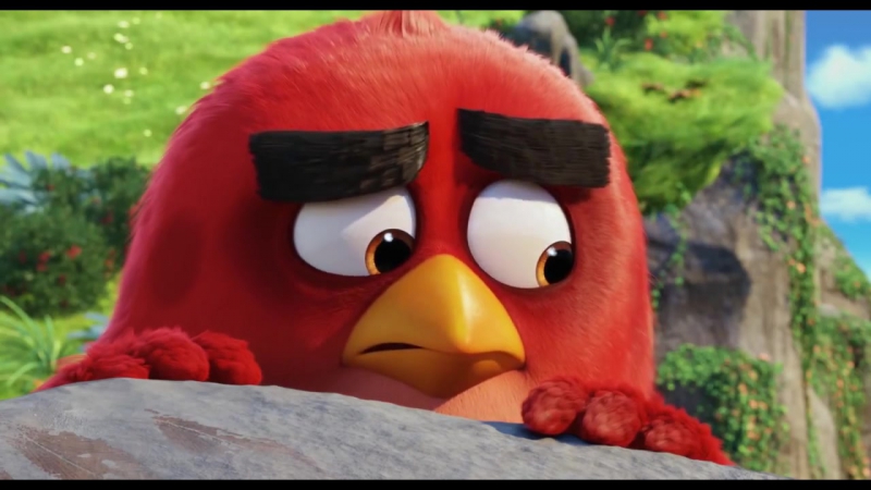 Angry birds