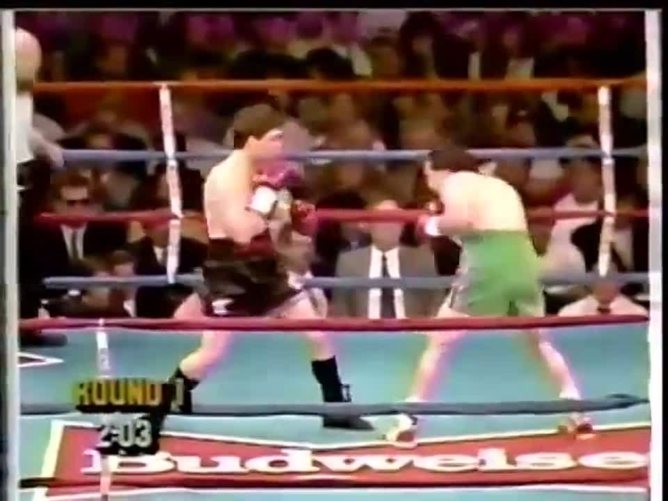 Рэй Манчини ( Ray Mancini )