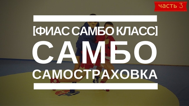 Самостраховка самбо